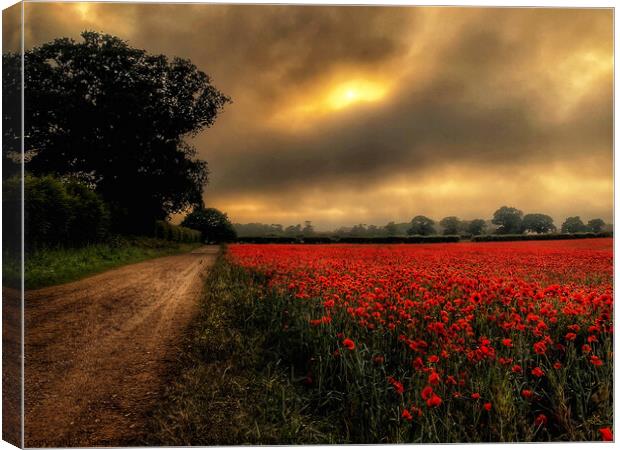 Moody Poppies of Heacham Canvas Print by Jacqui Farrell