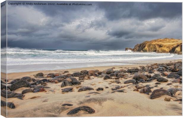 Scottish Highland Beach Canvas Print by Andy Anderson