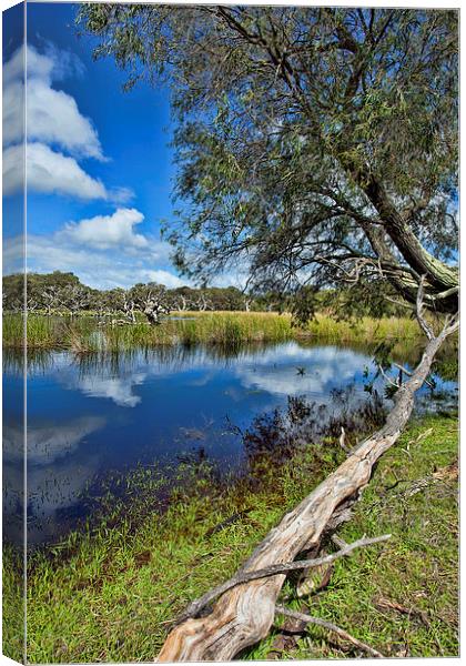 Margaret River Area SW Australia Canvas Print by Andy Anderson