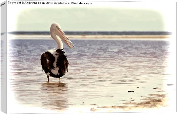 Australian Pelican by the Sea Canvas Print by Andy Anderson
