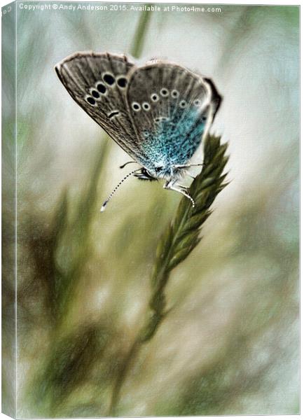 Tuscany Mountain Butterfly  Canvas Print by Andy Anderson