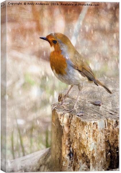 Winter Robin Canvas Print by Andy Anderson