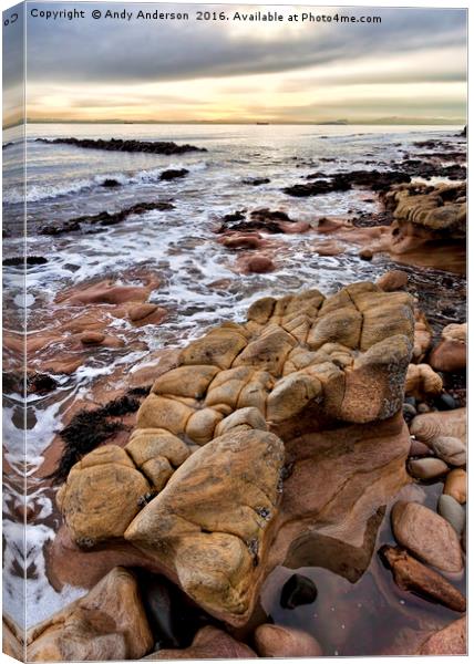 East Fife Rocky Coast Canvas Print by Andy Anderson