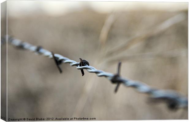 Barb Wire Fence. Canvas Print by David Blaber