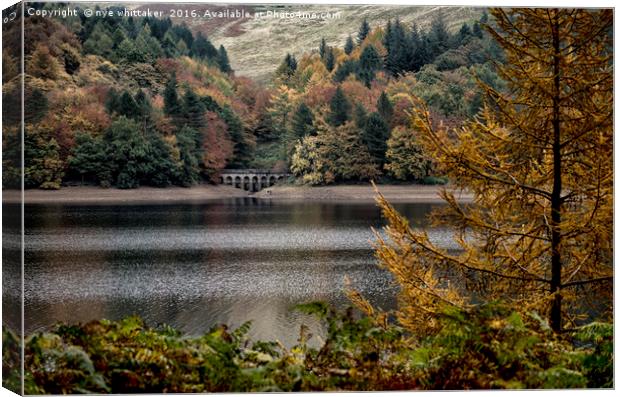 Autumn at Derwent Canvas Print by nye whittaker