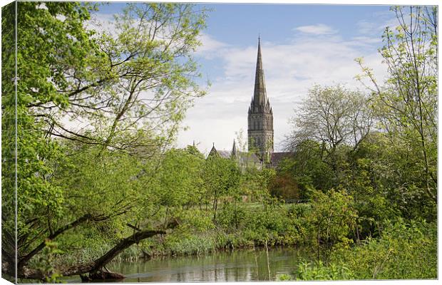 Salisbury Cathedral Canvas Print by Val Saxby LRPS