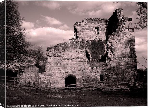 Ayton Castle Canvas Print by Elizabeth Wilson-Stephen