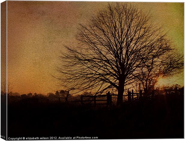 Textured Tree with Sunset Canvas Print by Elizabeth Wilson-Stephen
