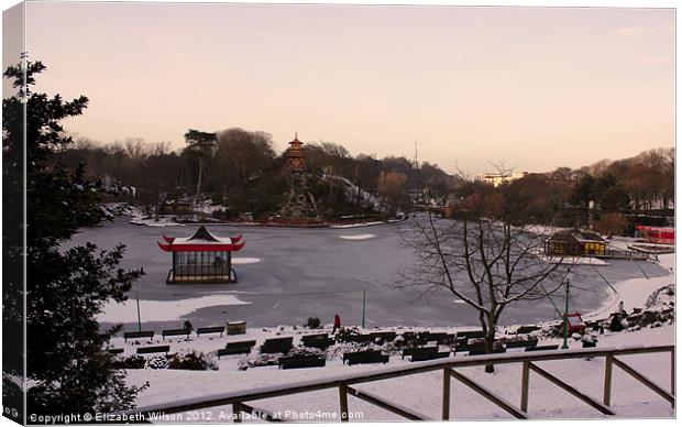 A View of Peasholm Park in the Snow Canvas Print by Elizabeth Wilson-Stephen