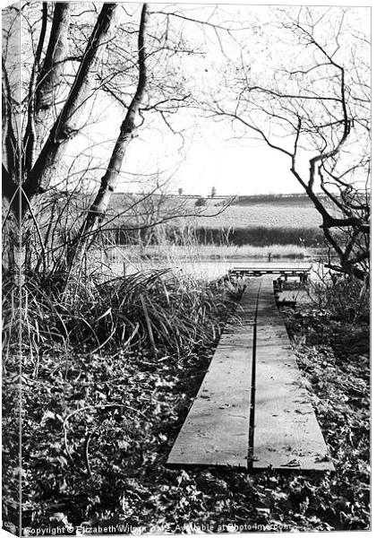 Throxenby Mere Jetty Canvas Print by Elizabeth Wilson-Stephen