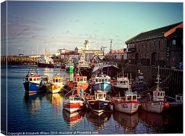 Boats Resting In The Harbour Canvas Print by Elizabeth Wilson-Stephen
