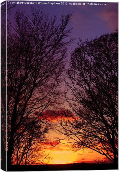 Sunset Canvas Print by Elizabeth Wilson-Stephen