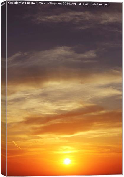 Fire Sky Canvas Print by Elizabeth Wilson-Stephen