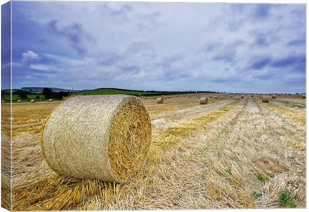 A British Summer Canvas Print by Jennie Franklin