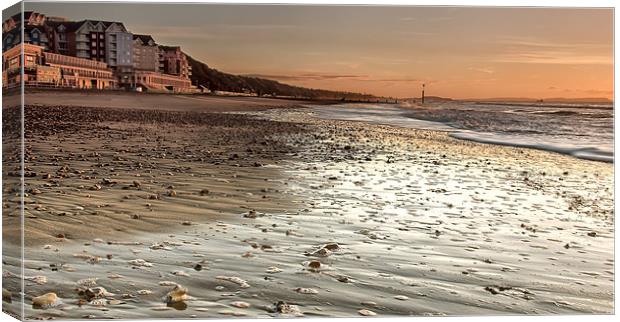 Golden Light on the Beach Canvas Print by Jennie Franklin