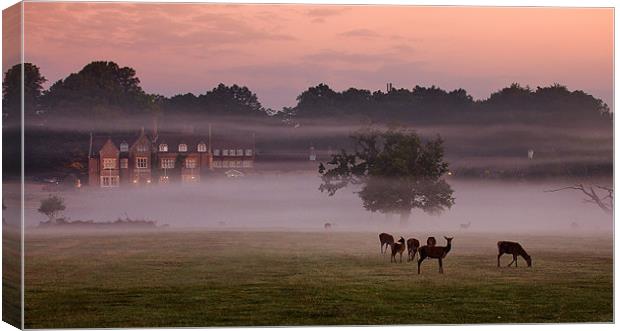 Deer in the Mist Canvas Print by Jennie Franklin