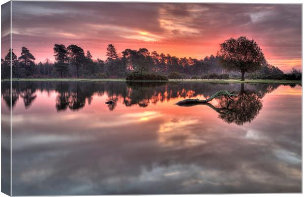  Misty Morning Sunrise at the Pond Canvas Print by Jennie Franklin