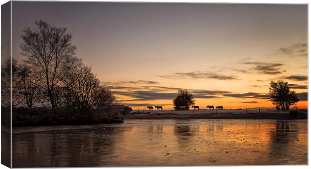  Horse Horizon Canvas Print by Jennie Franklin