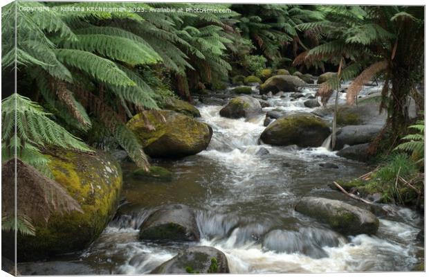 River of Ferns Canvas Print by Kristina Kitchingman