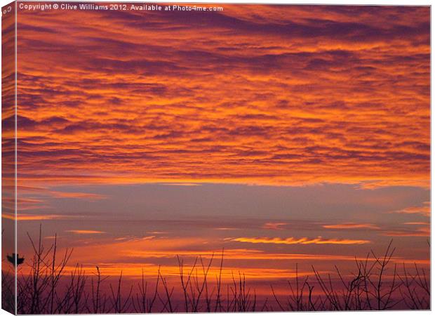 Glorious Dorset Sunrise Canvas Print by Clive Williams