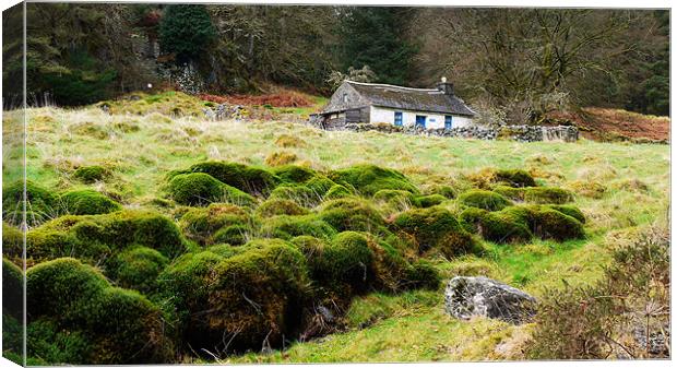 The Cottage In The Woods Canvas Print by Brian Sharland