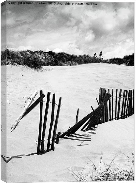  Dunes at Camber Sands. Canvas Print by Brian Sharland