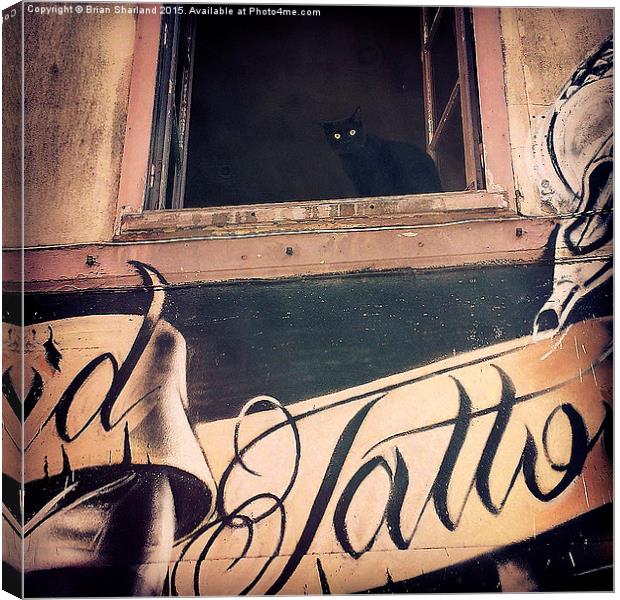  Tattoo Cat At Quimperle, Finistère, Bretagne, Fra Canvas Print by Brian Sharland