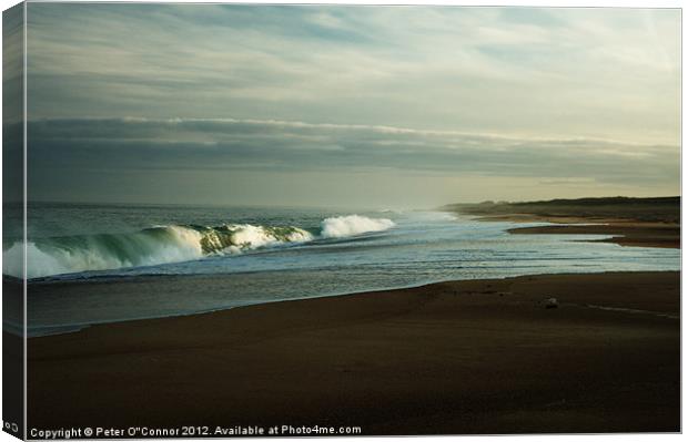 Beach Landscape at Dawn Canvas Print by Canvas Landscape Peter O'Connor