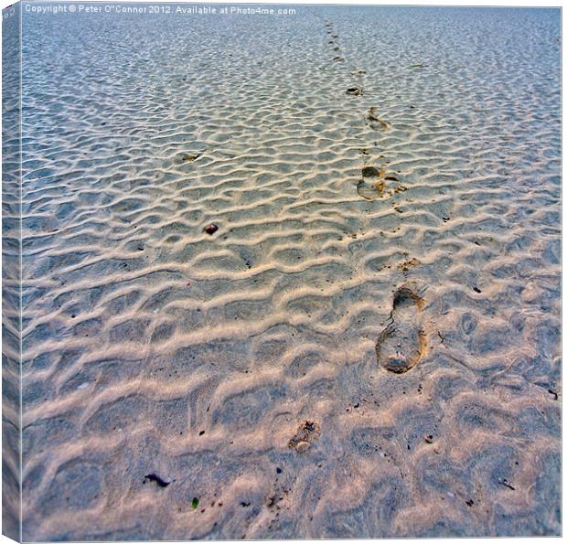 Footprints in the sand Canvas Print by Canvas Landscape Peter O'Connor