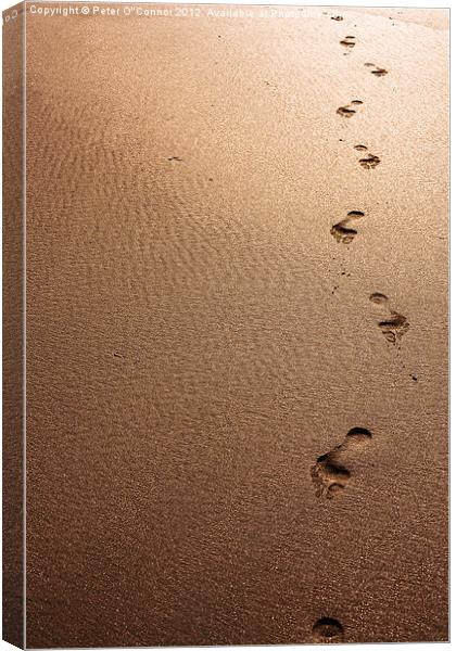 Footprints in the sand Canvas Print by Canvas Landscape Peter O'Connor