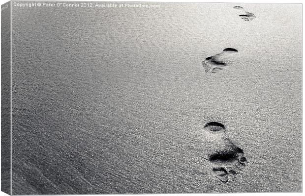 Platinum Footprints in Sand Canvas Print by Canvas Landscape Peter O'Connor