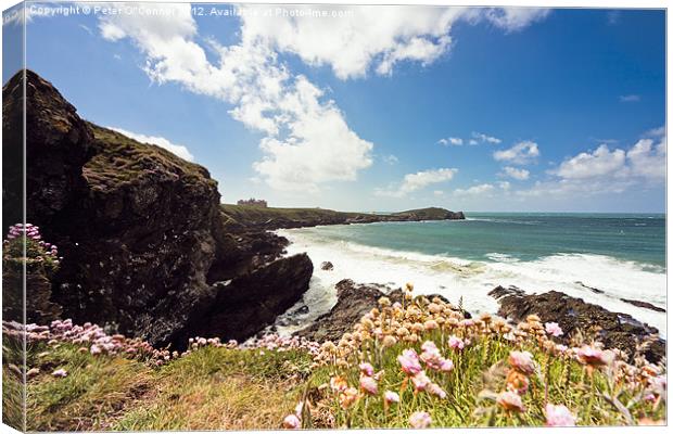 Newquay Headland Canvas Print by Canvas Landscape Peter O'Connor