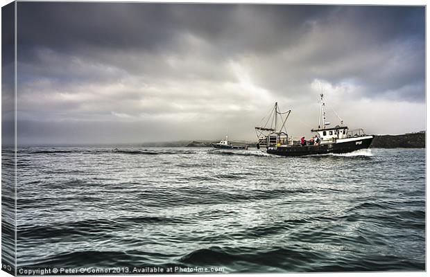 Bringing Home The Catch Canvas Print by Canvas Landscape Peter O'Connor