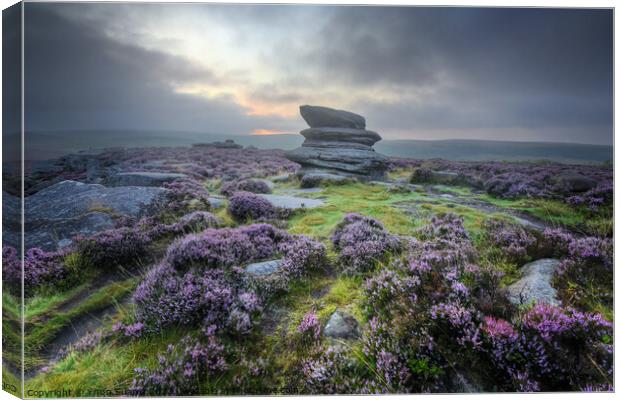 Owler Tor 44.0 Canvas Print by Yhun Suarez