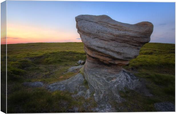 Kinder Scout 2.0 Canvas Print by Yhun Suarez