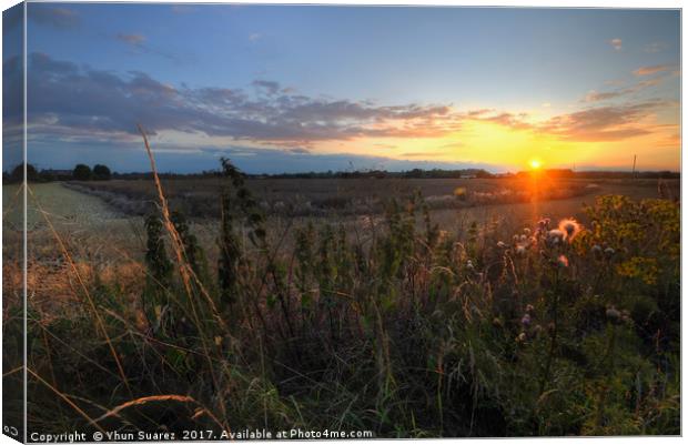 Farm Sunset Canvas Print by Yhun Suarez