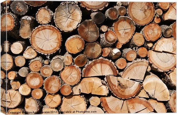 Logs stock Canvas Print by Alfani Photography