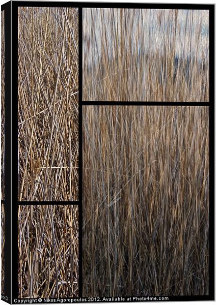 Reeds abstract Canvas Print by Alfani Photography