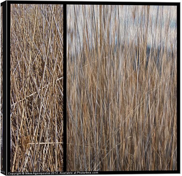Reeds abstract 2 Canvas Print by Alfani Photography