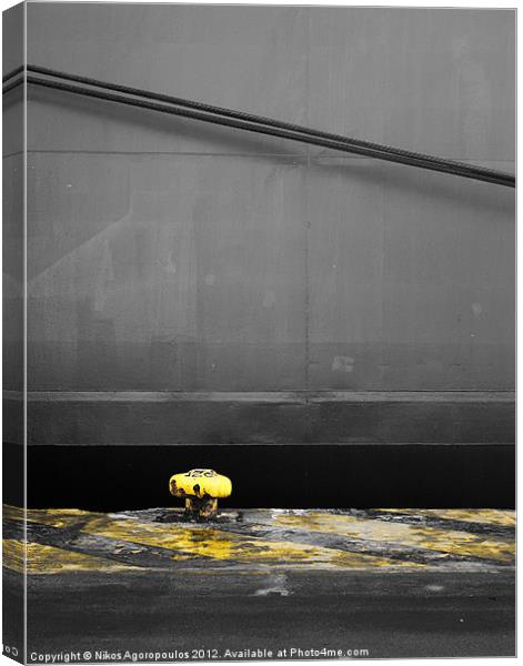 Yellow mushroom 3 Canvas Print by Alfani Photography