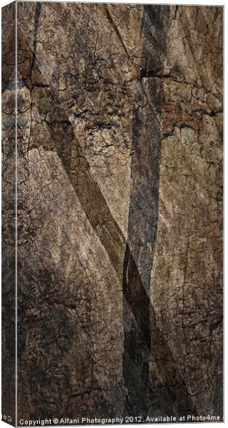 Wooden textures Canvas Print by Alfani Photography