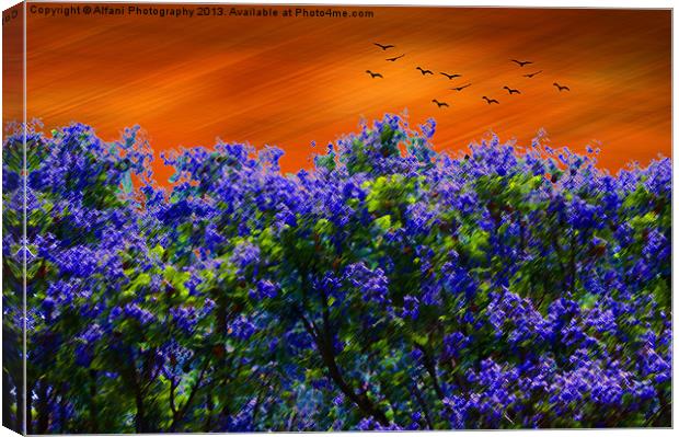 Purple-blue forest Canvas Print by Alfani Photography