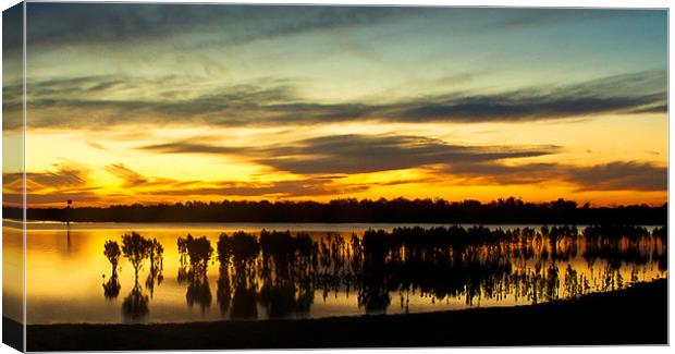 Mangrove sunset at Tooradin Canvas Print by Matthew Burniston