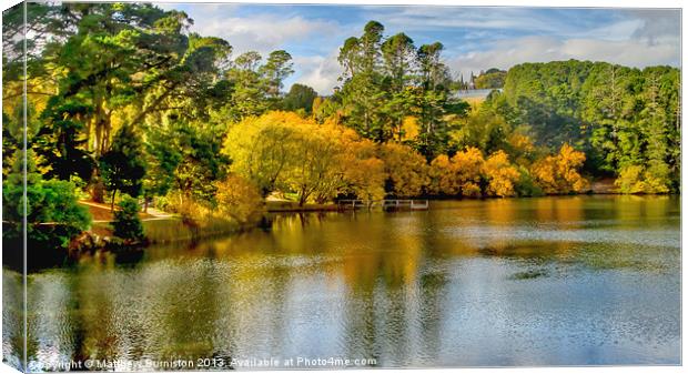 A Colourful autumn afternoon Canvas Print by Matthew Burniston
