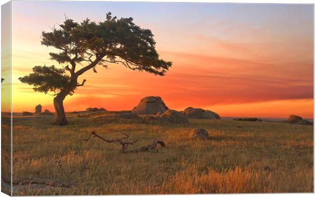 Sunset At Dog Rocks Canvas Print by Matthew Burniston