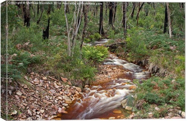  Peacefull stream flows through the aussie bush Canvas Print by Matthew Burniston
