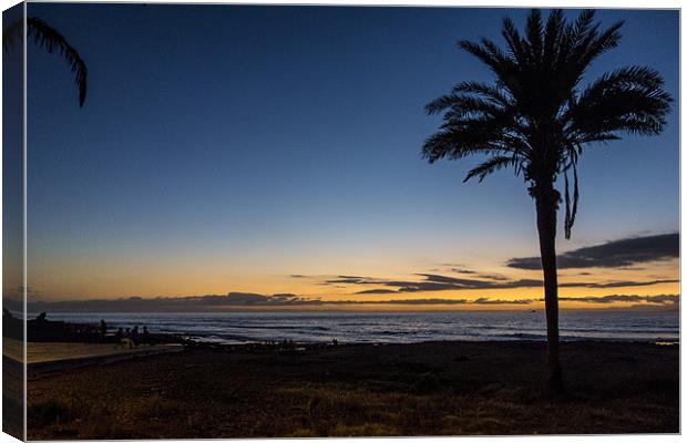Tenerife Sunset Canvas Print by David Shackle