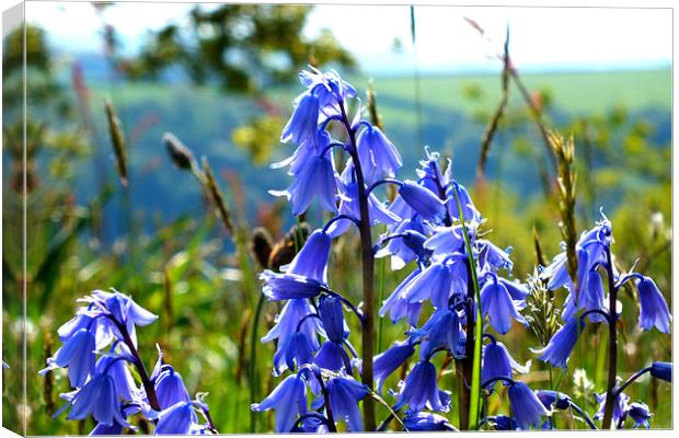 Blue flora Canvas Print by Sam Rowe