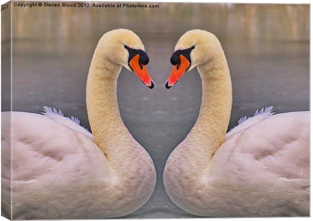 Swans on ice Canvas Print by Steven Blood