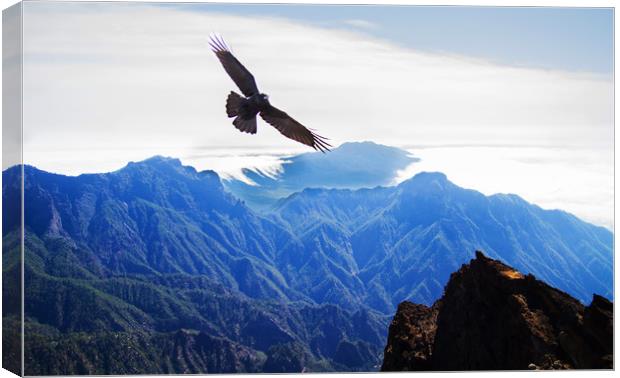 Crow over the mountains Canvas Print by Keith Thorne